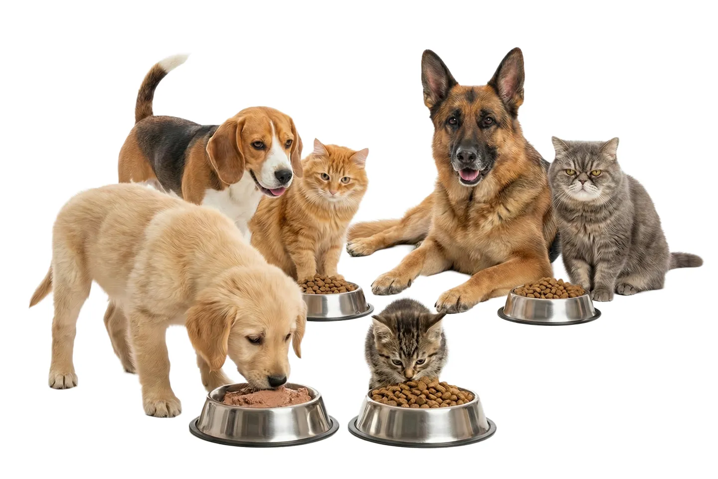 Lezzet garantili mama seçenekleri